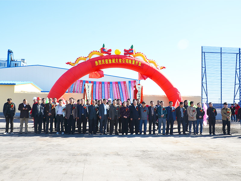 內蒙古豫誠大有型煤廠   20萬噸型煤生產線全套設備